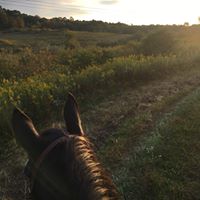 Foto del perfil de Nichole Lychalk