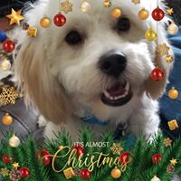 Foto del perfil de Bennie Marshall