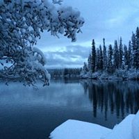 Foto del perfil de Jocelyn Neid