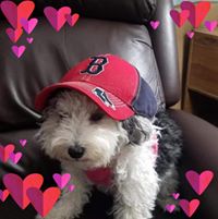 Foto del perfil de Joanne Morse