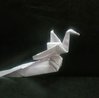 Foto del perfil de Shweta Singh